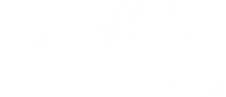 Zeeline